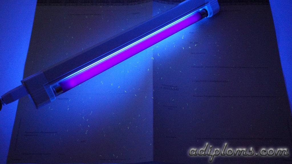 Диплом бакалавра 2014-2026 Фото