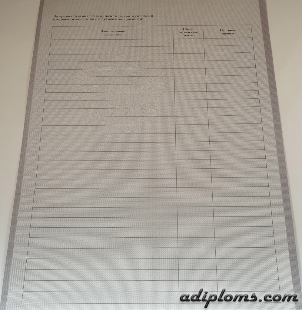 Диплом техникума, колледжа 2007-2010 Фото